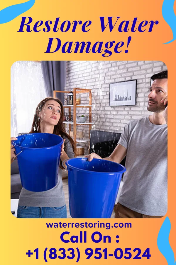 water restoration Hawk Damage Restoration Masters Ashley