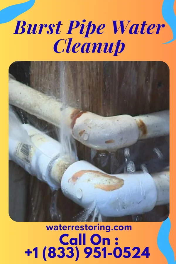 Burst Pipe Water Cleanup in Ashley, OH