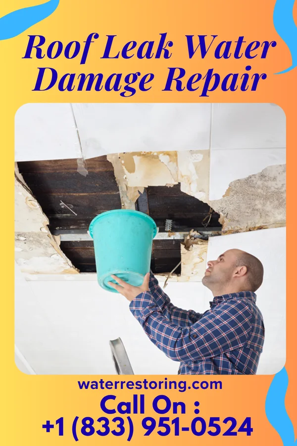 Roof Leak Water Damage Repair in Ashley, OH