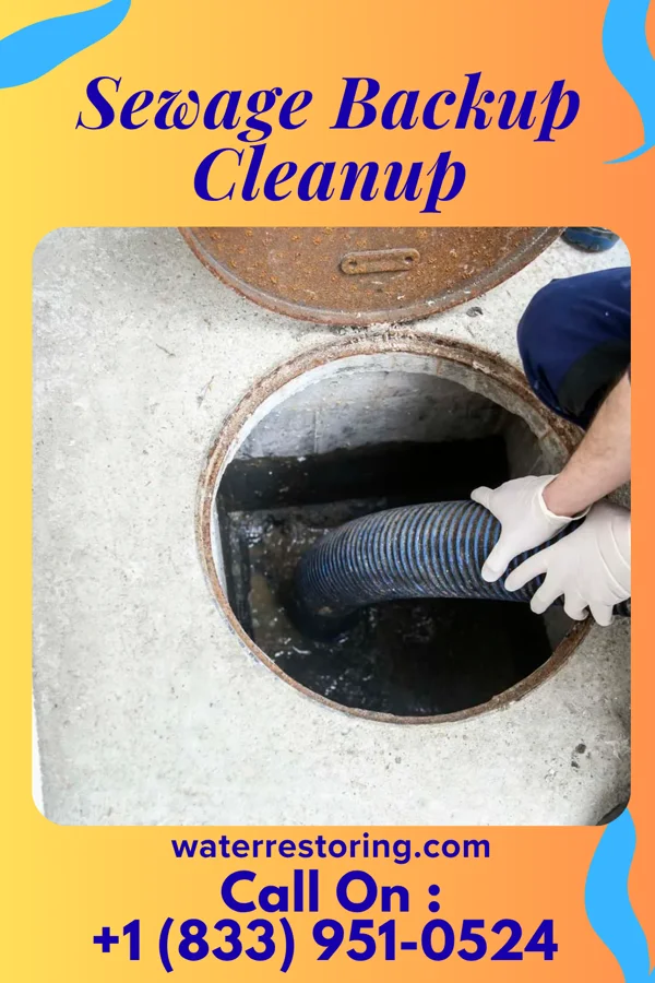 Sewage Backup Cleanup in Ashley, OH